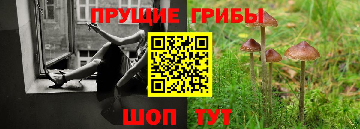 Галлюциногенные грибы прущие грибы Моздок